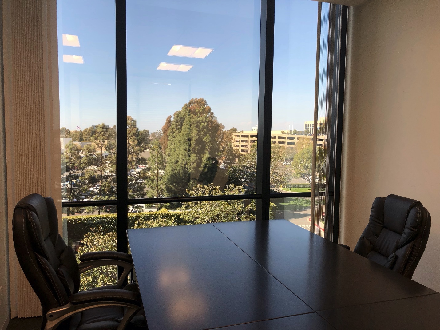 Office meeting room overlooking palm trees